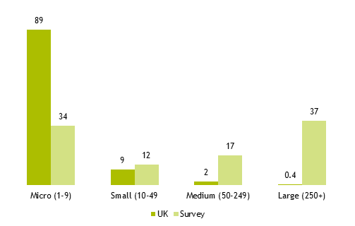 Figure A3.1: block graph showing percentage of organisations of different sizes: UK organisations versus survey respondents