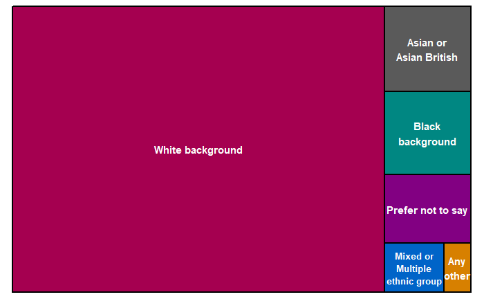 Chart showing that the majority of respondents were from a white ethnic background